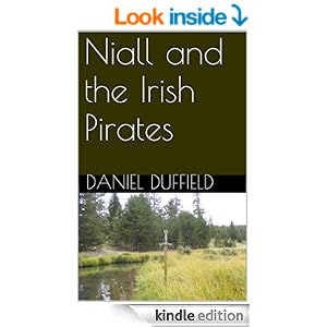 Niall and the Irish Pirates Book cover
