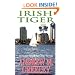 Irish Tiger (Nuala Anne McGrail Novels)
