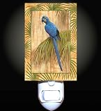 Blue Jungle Parrot Decorative Night Light