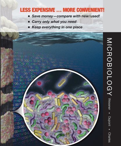 Microbiology: Applications and Connections 1st edition