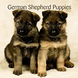 HyperLink