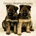 German Shepherd Puppies 2010 Mini Wall