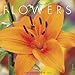 Flowers 2016 Calendar
