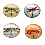 SET OF 4 DRAGONFLY ART GLASS MAGNETS