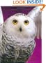 Owls: An Artist's Guide to Understanding Owls