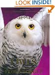 Owls