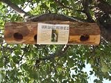 Songbird Cedar Suet Log  Upside Down