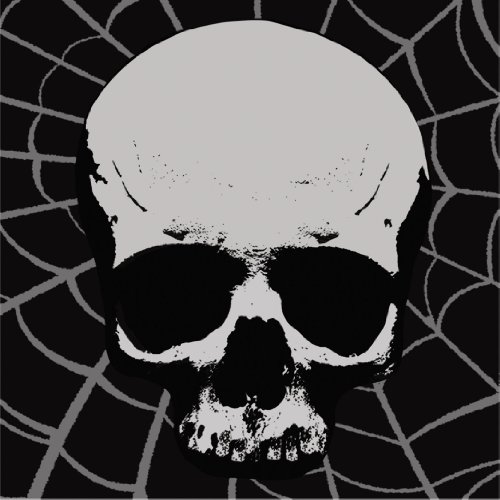 Creative Converting 18 Count Skull Terror Lunch Napkins
