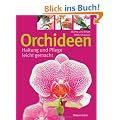 Orchideen: Haltung und Pflege leicht gemacht