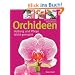Orchideen: Haltung und Pflege leicht gemacht