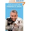 How to Raise the Perfect Dog: Through Puppyhood and Beyond