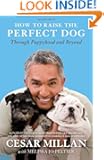 How to Raise the Perfect Dog: Through Puppyhood and Beyond