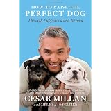 How to Raise the Perfect Dog: Through Puppyhood and Beyond ~ Cesar Millan