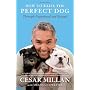 How to Raise the Perfect Dog: Through Puppyhood an&hellip by Cesar Millan