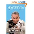 How to Raise the Perfect Dog: Through Puppyhood and Beyond