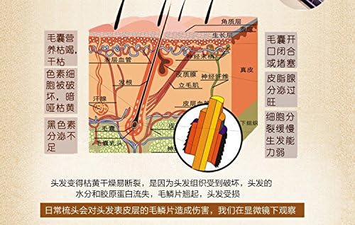 Hair Growth Essence Hair fork care improved frizz collagen Chinese medicine curing membrane film free steaming hair care 20g * 10 pcs/box