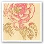 Coral Rose by Swan Papel 12"x12" Art Print Poster