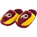 Washington Redskins 2009 Ball Men's Slide Slippers
