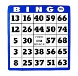 Large Print Bingo Card