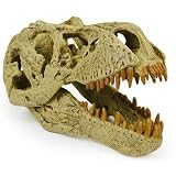 T Rex Skull
