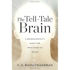 The Tell-tale Brain