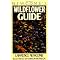 Wild Flowers