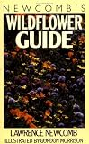 Newcomb's Wildflower Guide