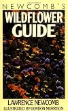 Newcomb's Wildflower Guide