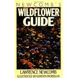 Newcomb's Wildflower Guide ~ Lawrence Newcomb