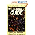 Newcomb's Wildflower Guide