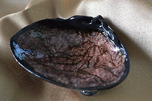 Hand Painted Sea Shell Jewelry/Key/Soap Dish - Nautical Themed Gift - Brown Stone Finish