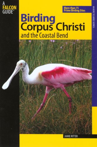 Birding