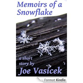 Memoirs of a Snowflake