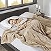 Beautyrest Elect Electric Blanket with 20 Heat Level Setting Controller, Full, Vanilla