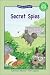 Secret Spies