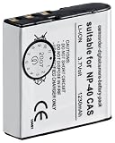 Wentronic Ersatzakku f&uuml;r Casio NP-40 1230 mAh