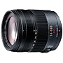 Panasonic LUMIX G VARIO HD 14-140mm F4.0-5.8 ASPH./MEGA O.I.S H-VS014140
