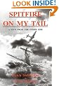 Spitfire on My Tail: A View from the Other Side