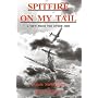 Spitfire on My Tail: A View from the Other Side