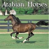 Arabian Horses 2008 Wall Calendar; ISBN: 1846623618; by: <b>Pet Prints</b>