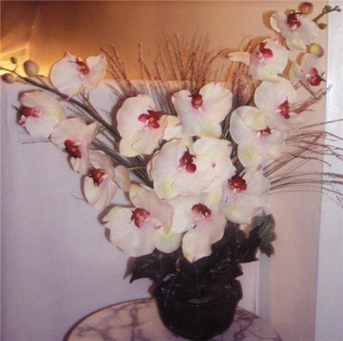 Cream Colored Silk Orchid Silk Floral Arrangement
