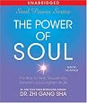 The Power of Soul: The Way to Heal, Rejuvenate, Transform and Enlighten All Life (Soul Power 3)
