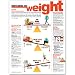 Understanding Your Weight Anatomical Chart