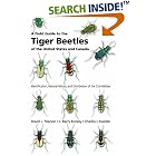 Click here to buy A Field Guide to the Tiger Beetles of the United States and Canada: Identification, Natural History, and Distribution of... by David L. Pearson, C. Barry Knisley, and Charles J. Kazilek.