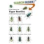 A Field Guide to the Tiger Beetles of the United States and Canada: Identification, Natural History, and Distribution of the Cicindelidae