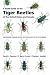 Books : A Field Guide to the Tiger Beetles of the United States and Canada: Identification, Natural History, and Distribution of the Cicindelidae