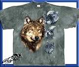 Produkt-Bild: Harlequin T-Shirt Wolf Portrait