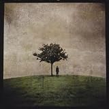 The Burial Tree 2
