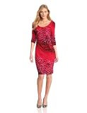 Anne Klein Women’s Ombre Zebra Print Dress, Rose Multi, Large