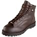 Danner Men's Explorer Outdoor Boot